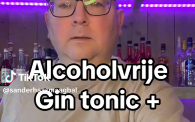 Alcoholvrije gin tonic