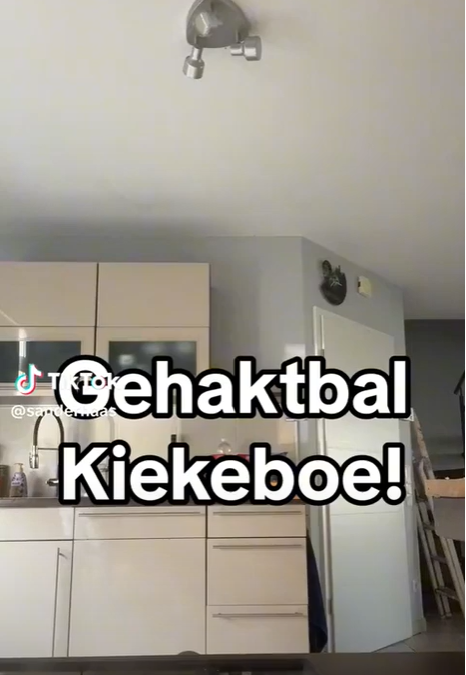 Gehaktbal kiekeboe